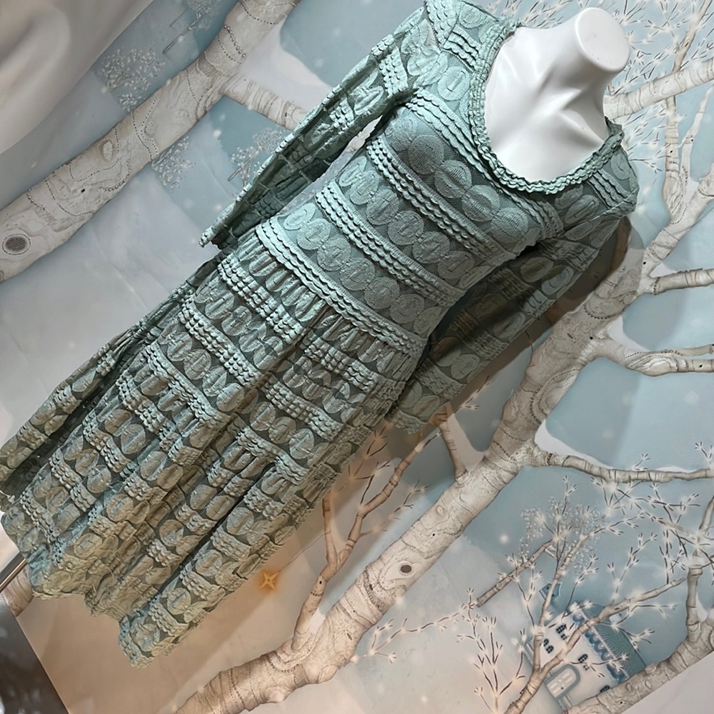 Sundance beautiful lace dress